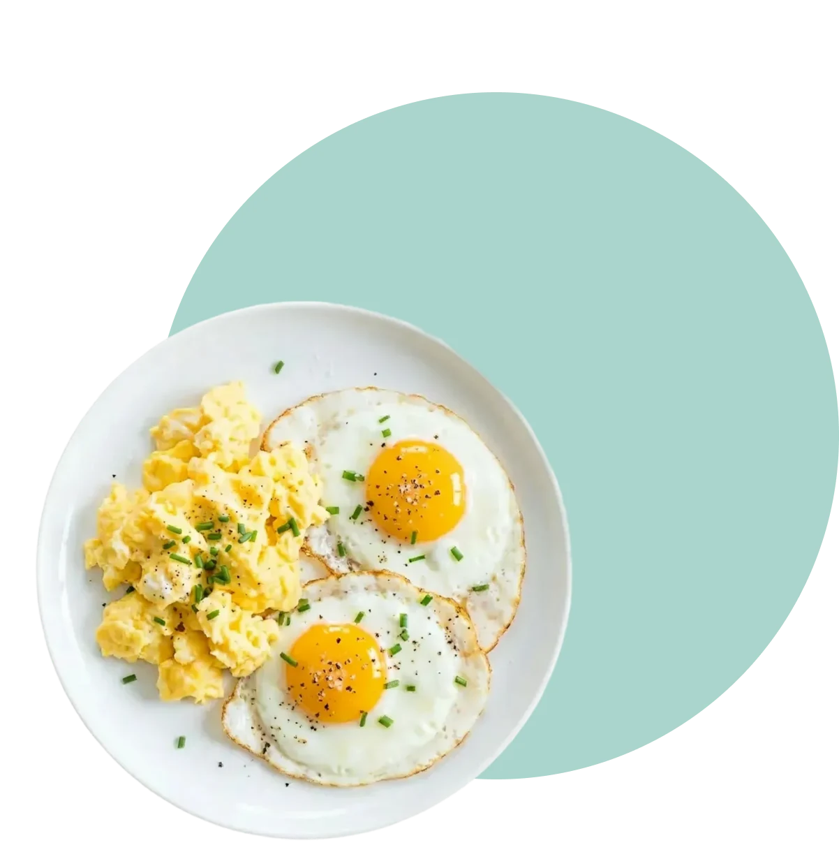 Bite Insight app showing food insights with eggs on a plate